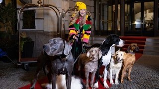 Fashion Divas and Roller Girls