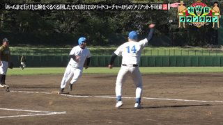 The theory that when you're spinning your arm to signal 'Go to home!', a lariat from the third base coach is inevitable - Everyone's Theories Special