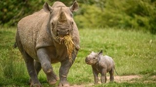 First Time Parents