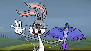 A Duck in the Aquarium