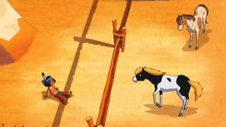 First Gallop