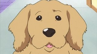 Someday with the Two of Us