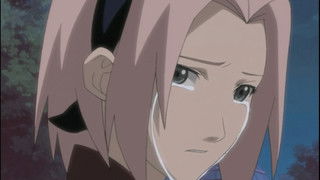 An Invitation from the Sound