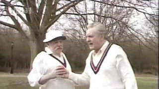 Definitely Not Cricket!