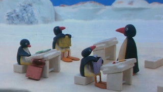 Pingu At School