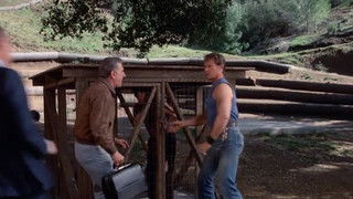 Suffer the Little Children