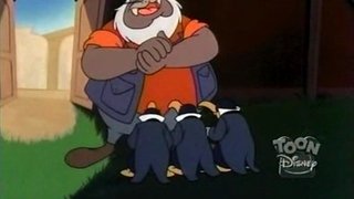 Hush, Hush Sweet Charlatan