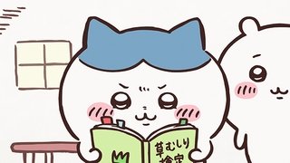 Weeding Certification / Let's Get Certified