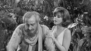 The Return of Wrongway Feldman