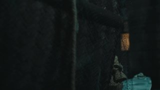 Episode 36