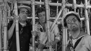 So Sorry, My Island Now