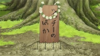 Special 5: Farewell Tsucchi