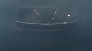 The Fog