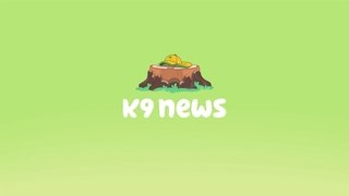 K9 News