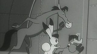 Jump out, Pukko