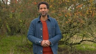 Review of the Year Compilation