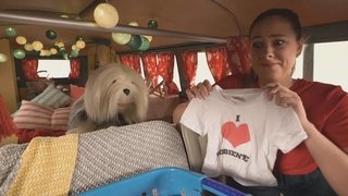 Episode 49
