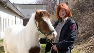 Horse Rescue