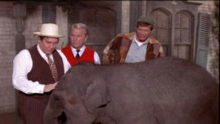 The Coming-Out Party