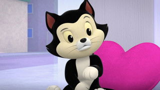 A New Kitty in the House