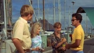 The Joker's Wild, Man, Wild!