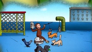 The All-Animal Recycled Band