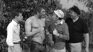 Big Man on Little Stick