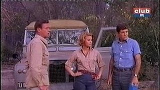 Adventure of the Lion Cubs