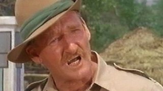 The Elephant Raid (Part 2)