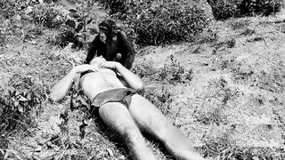 The Prisoner