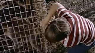 Can You Keep A Secret?