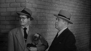 The Monkey Mystery