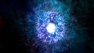 The Making Of A Natural History Film