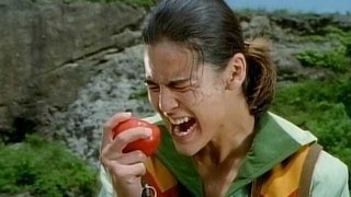 The Tomato's Trial