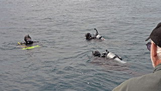 The Pritchard Connection