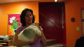 Sugartime! (Hinesburg, Vermont)