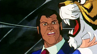 Puzzle of Tiger Perimeter