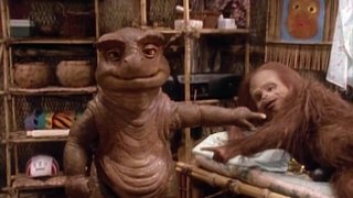 Misery Loves Company