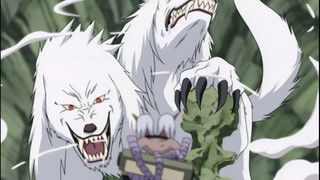 Roar and Howl! The Ultimate Tag-Team!