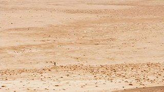 Desert