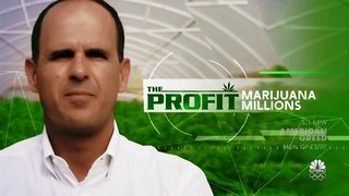 Marijuana Millions