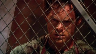 There's Something About Harry