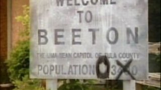 A Multitude of Idols