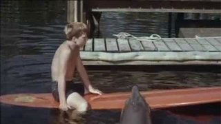 The Raccoon who Came to Dinner