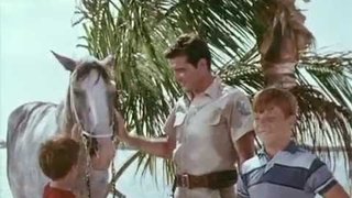 Flipper and the Horse Thieves