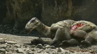 chased by dinosaurs land of giants