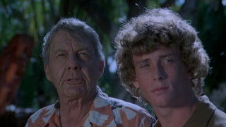 Fathers and Other Strangers (1)