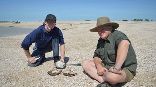 Dampier Peninsula
