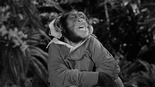 Voodoo Something To Me