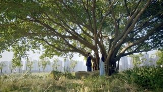 Every Family Has Its Troubles